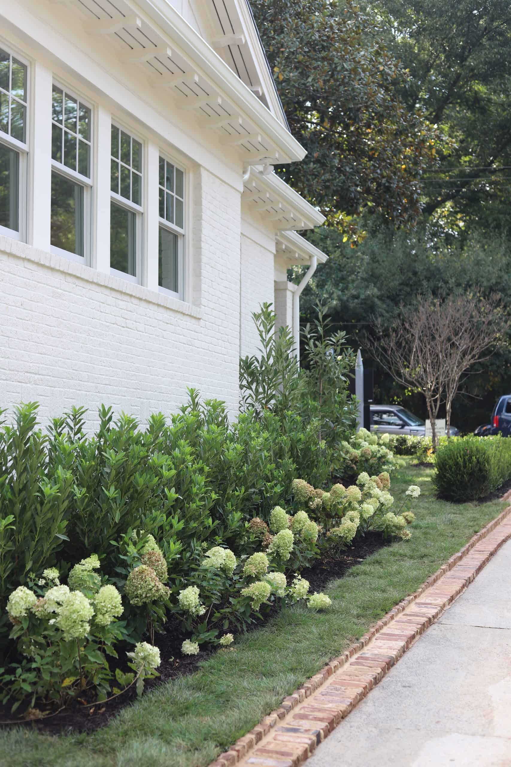 Landscaping with lush greenery and flowering plants.