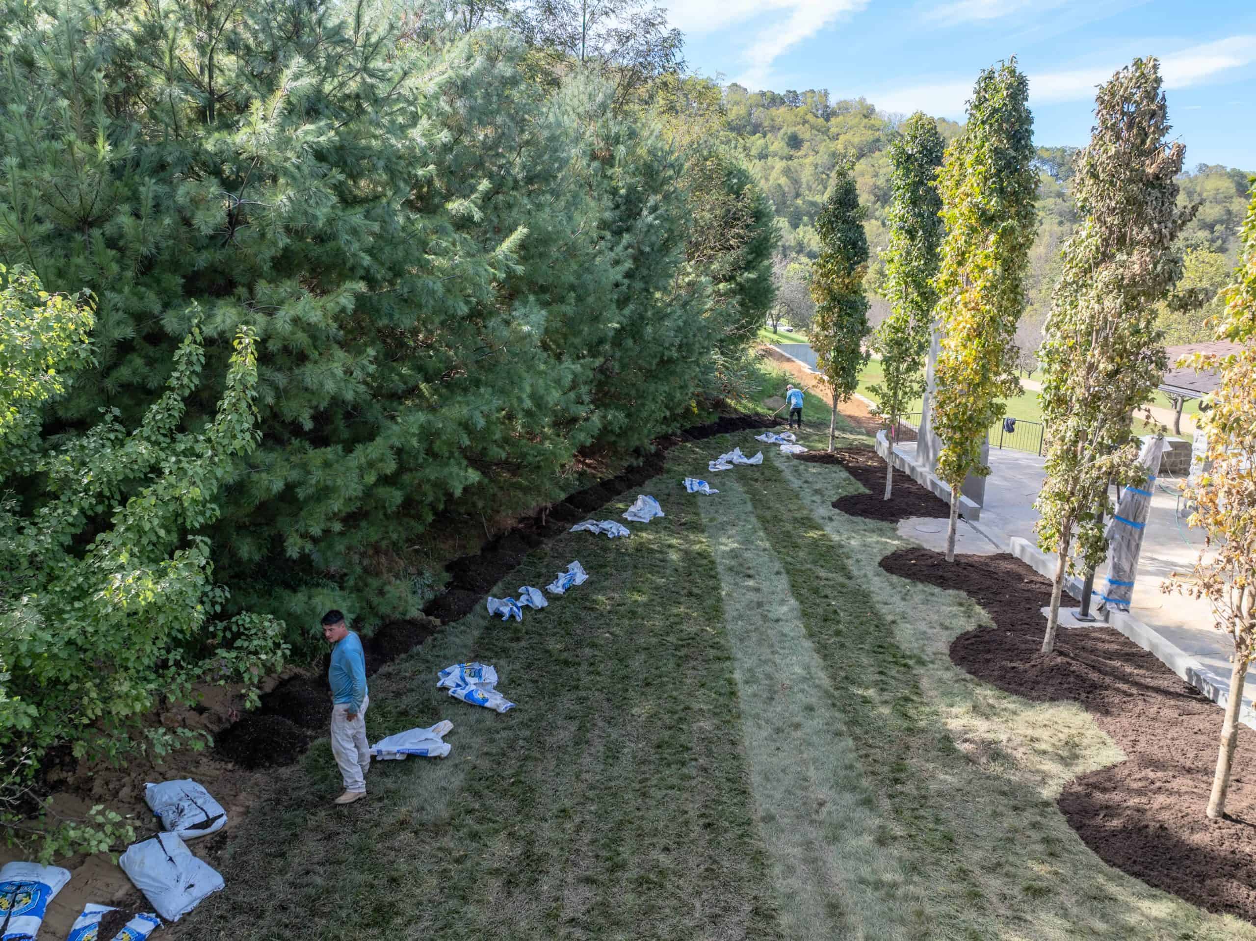 Garden Atlantic crew installing sod and ornamental trees during luxury estate landscape installation at Ahma at Cold Mountain, Canton North Carolina