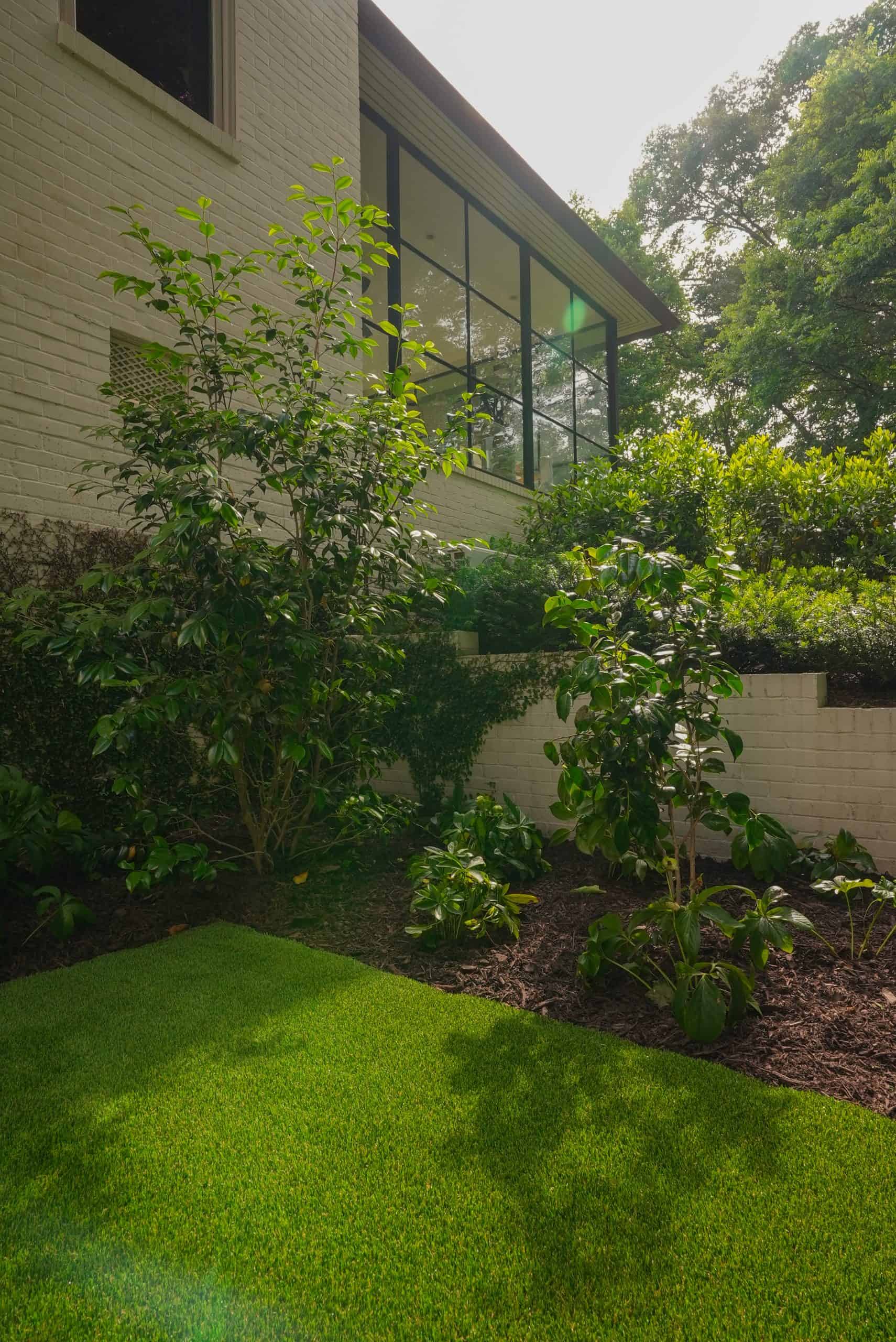 Layered camellias, viburnum, and ferns planted against a black-framed glass sunroom at a Buckhead estate home.